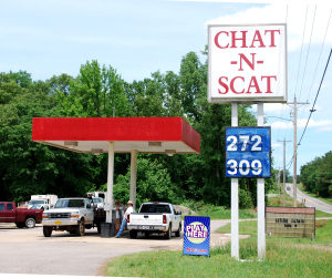 chat-n-scat-photo-mary-anne-erickson