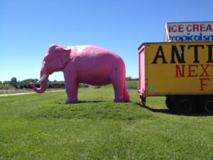 pink-elephant-antique-mall-livingston-illinois1-mary-anne-erickson