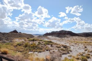 the-painted-desert-arizona4-mary-anne-erickson