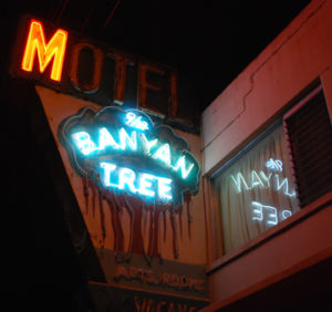 banyan-tree-motel-reflection-at-night-mary-anne-erickson