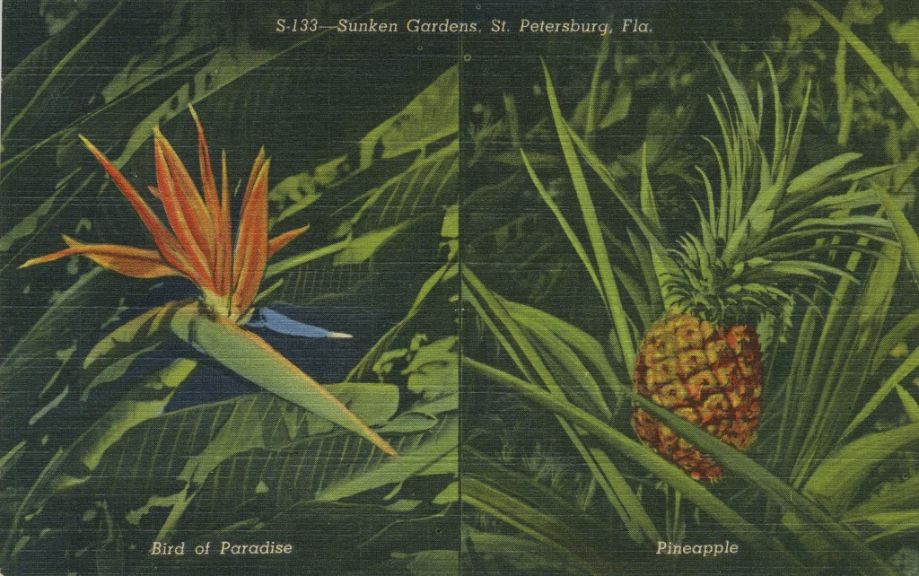 sunken-garden-postcard-mary-anne-erickson