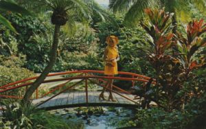 sunken-gardens-60s-girl-postcard-mary-anne-erickson