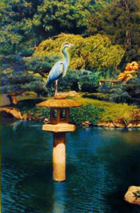 blue-heron-posing-hand-colored-photo-mary-anne-erickson