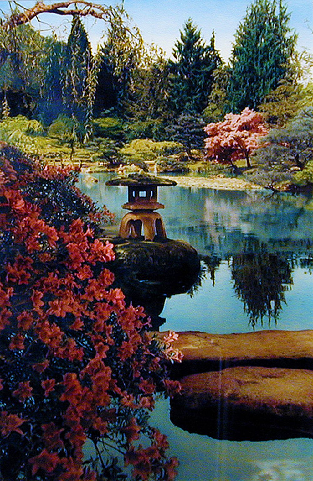 japanese-gardens-hand-colored-photo-mary-anne-erickson