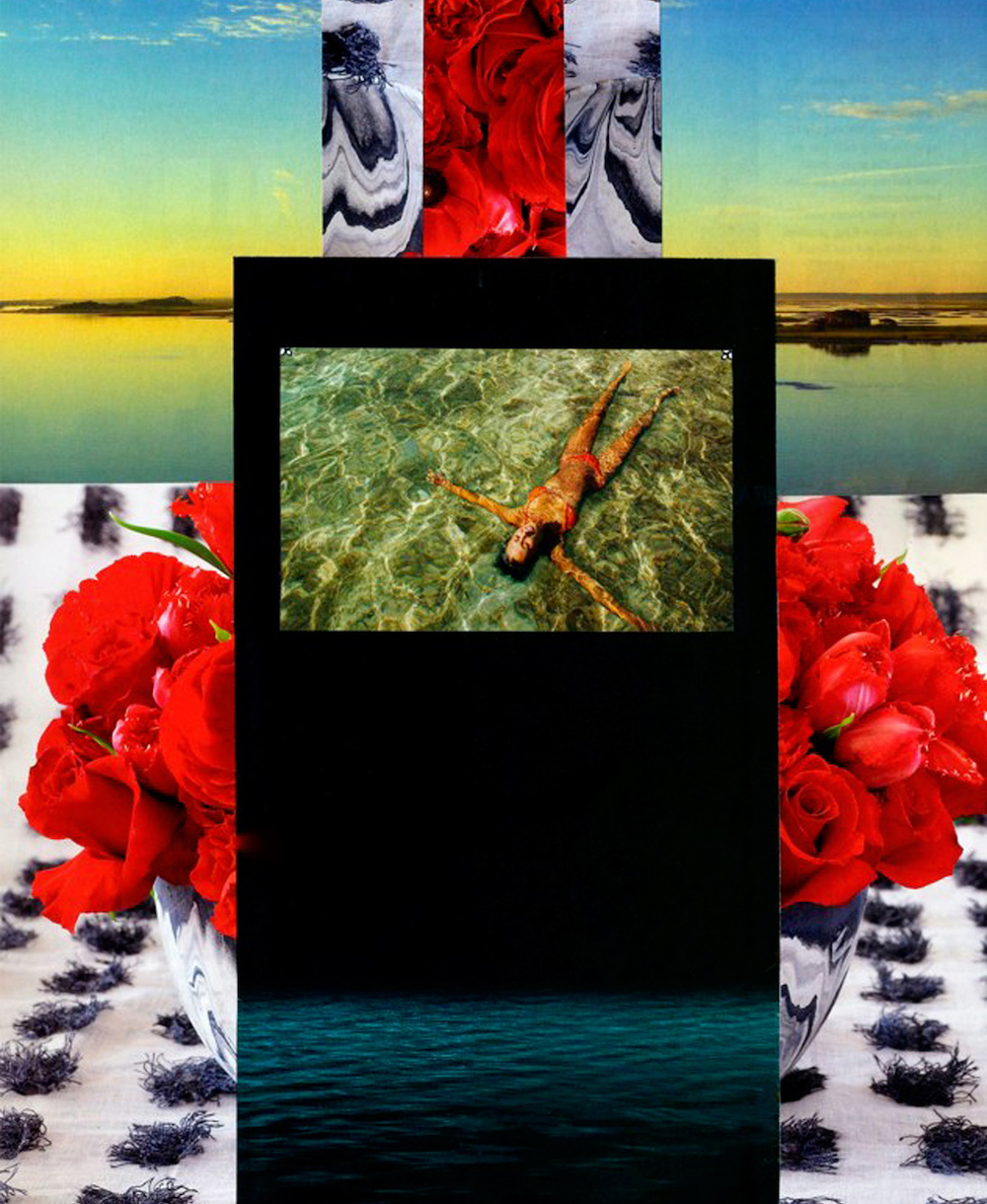 lush-life1-collage-mary-anne-erickson