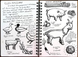 sketchbook pen & ink drawings of animals and food items found at the weekly market