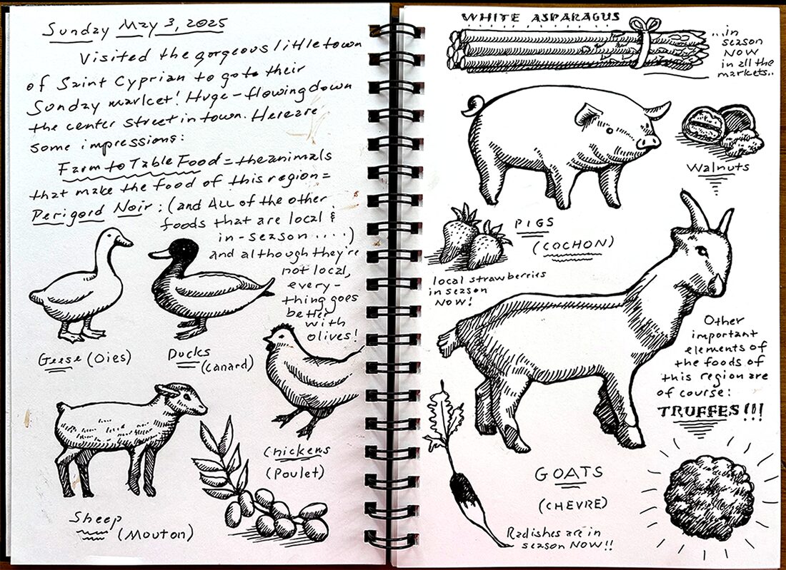 sketchbook pen & ink drawings of animals and food items found at the weekly market