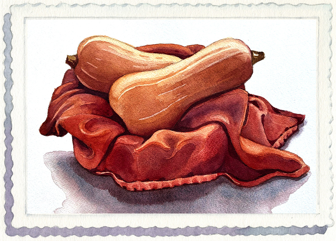 watercolor painting of two butternut squashes in a basket with a rust colored cloth