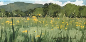 oil painting of a meadow in Woodstock, NY with flowers in the foreground and a mountain in the background
